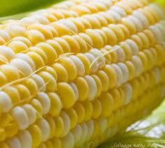 Fresh Creamed Corn